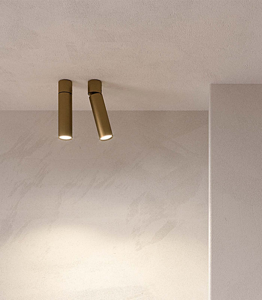 Panzeri Lola Surface Mount Ceiling Light featured in a interior space