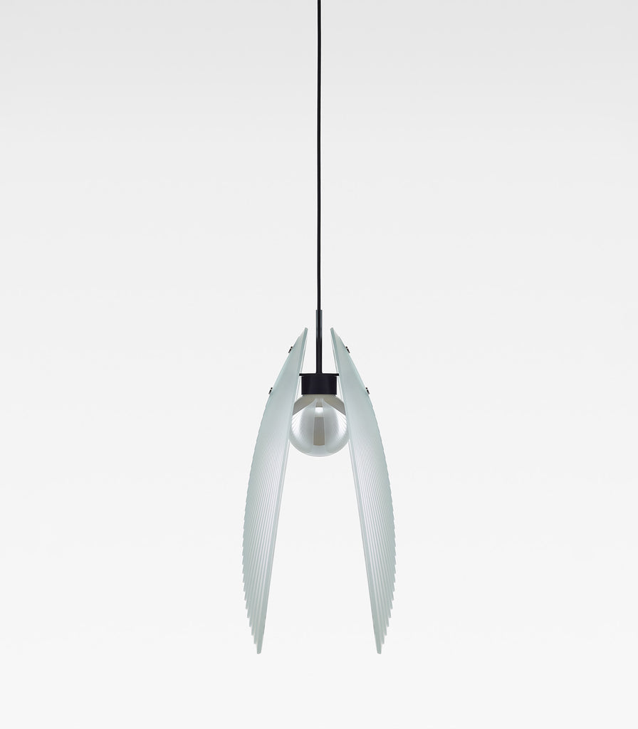 Bomma Ama Pendant Light in Clear/Open