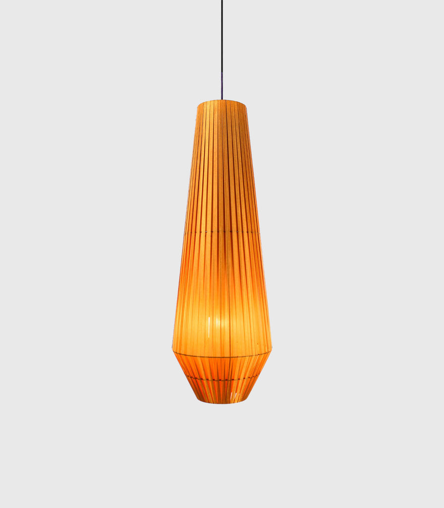 Ilanel Kahdu Long Pendant Light featured within interior space