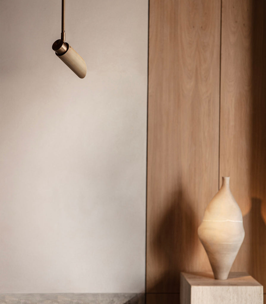 J.Adams&Co. Spot Pro Pendant Light featured within interior space