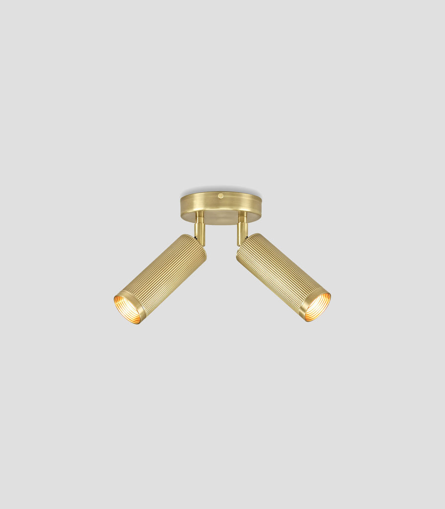 J. Adams & Co. Spot Double Ceiling Light in Satin Brass