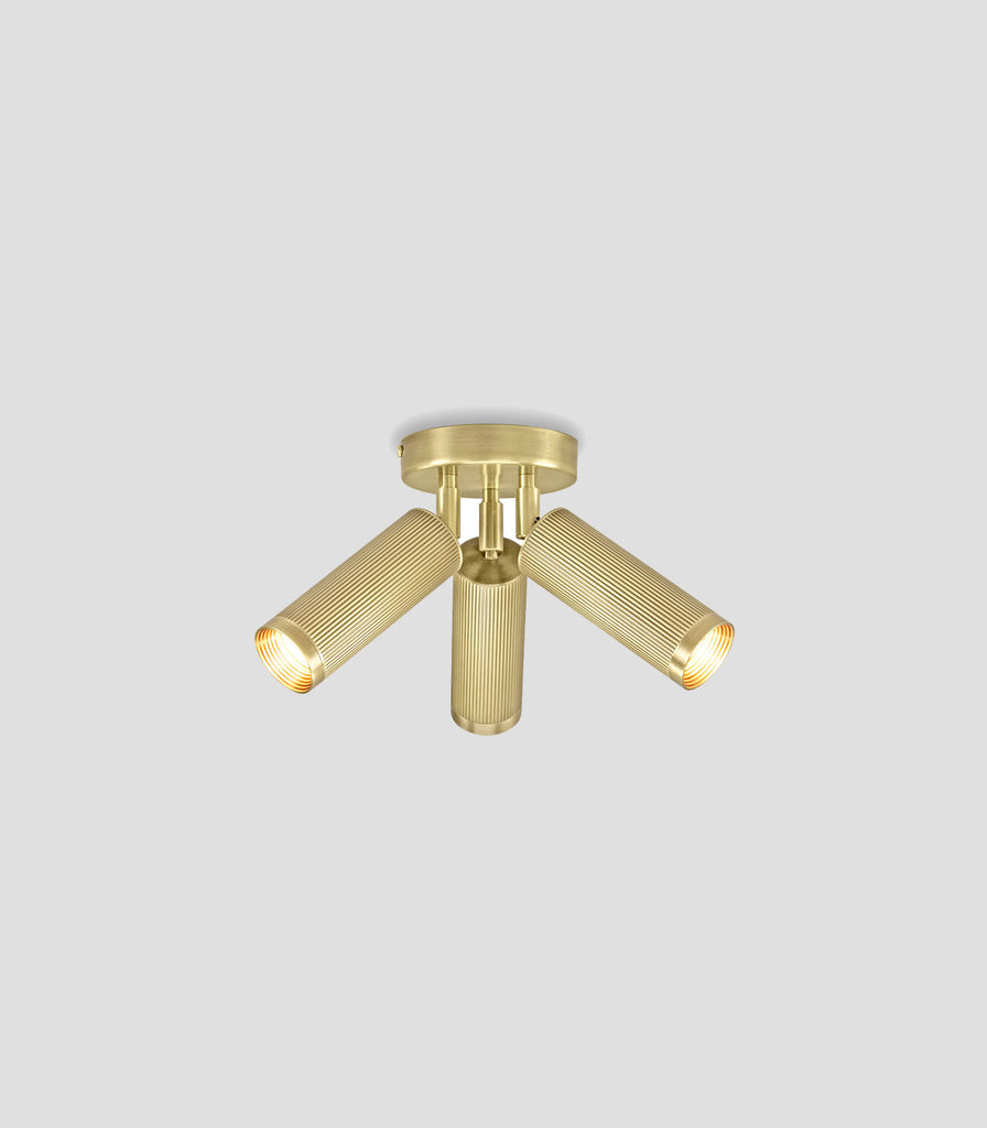 J. Adams & Co. Spot Triple Ceiling Light in Satin Brass