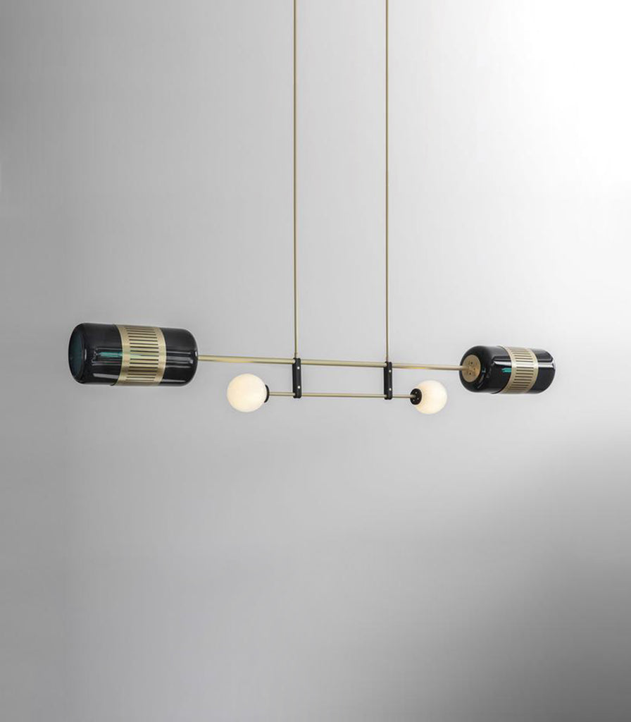 Bert Frank Lizak Linear Pendant Light featured within a interior space 