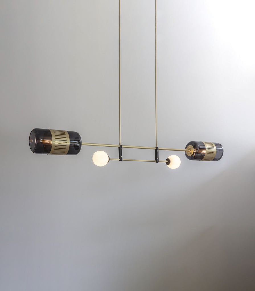 Bert Frank Lizak Linear Pendant Light featured within a interior space