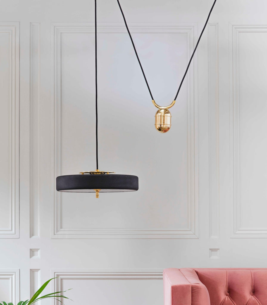 Bert Frank Revolve Rise & Fall Pendant Light featured within a interior space