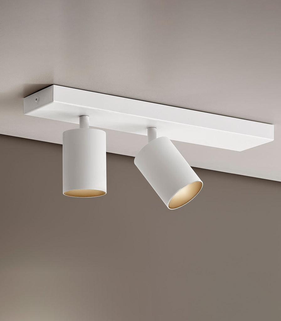 Panzeri Carl2 Ceiling Light featured within a interior space