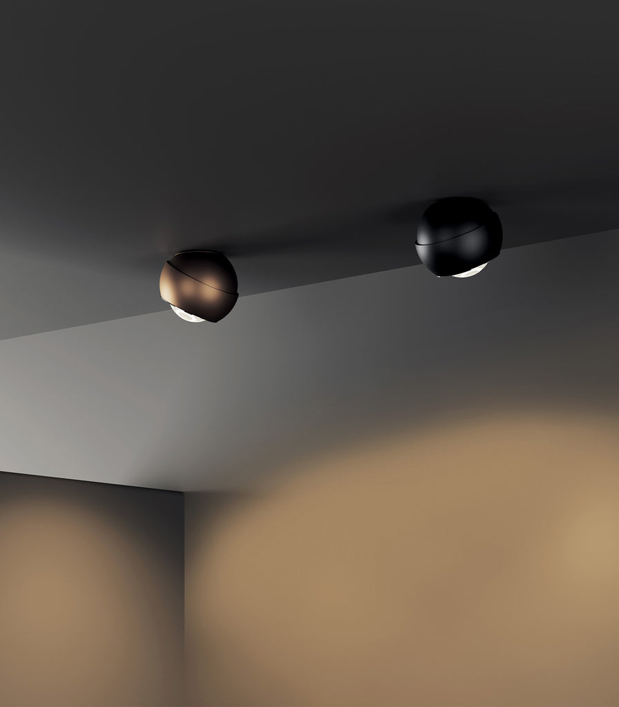 Lodes Spider Ceiling Light featured within a interior space