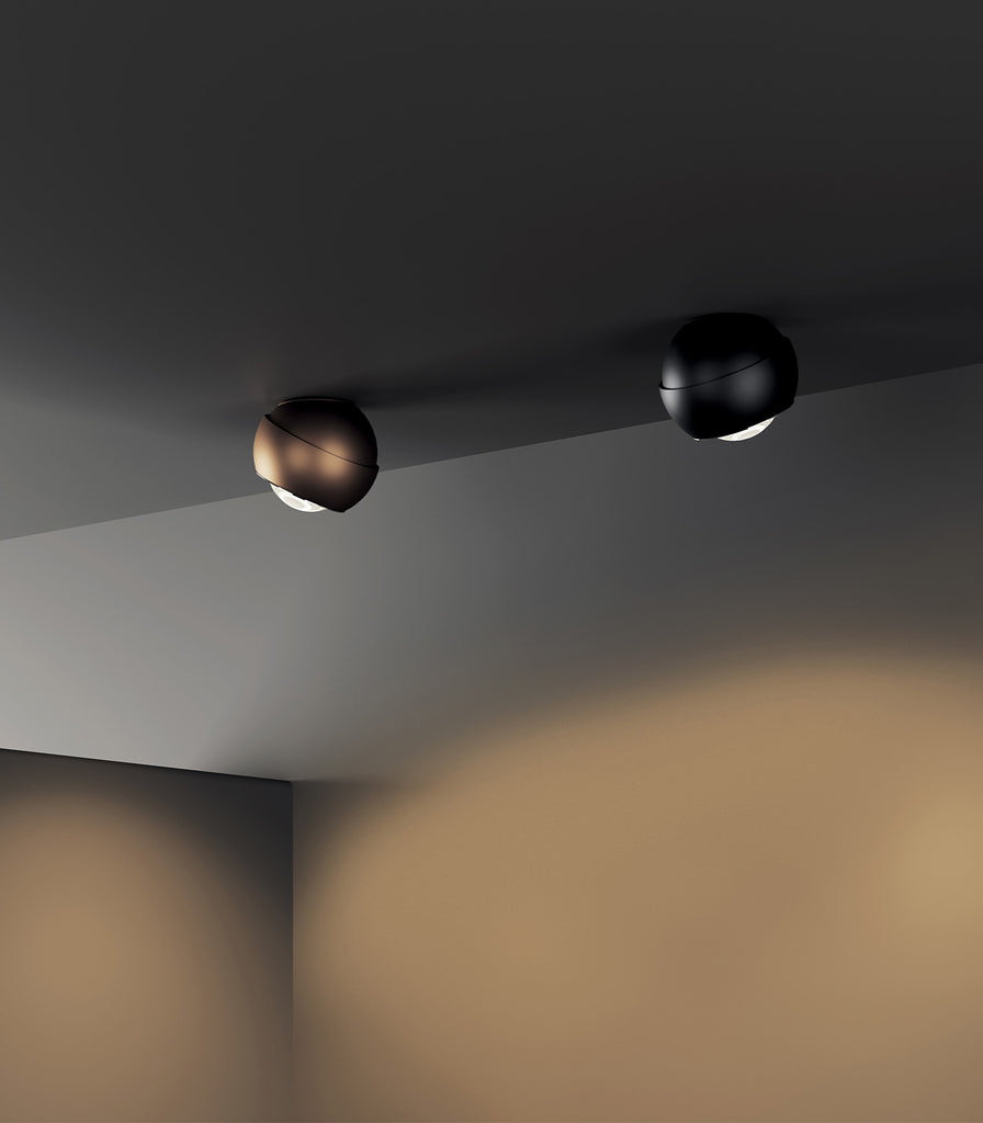 Lodes Spider Ceiling Light featured within a interior space
