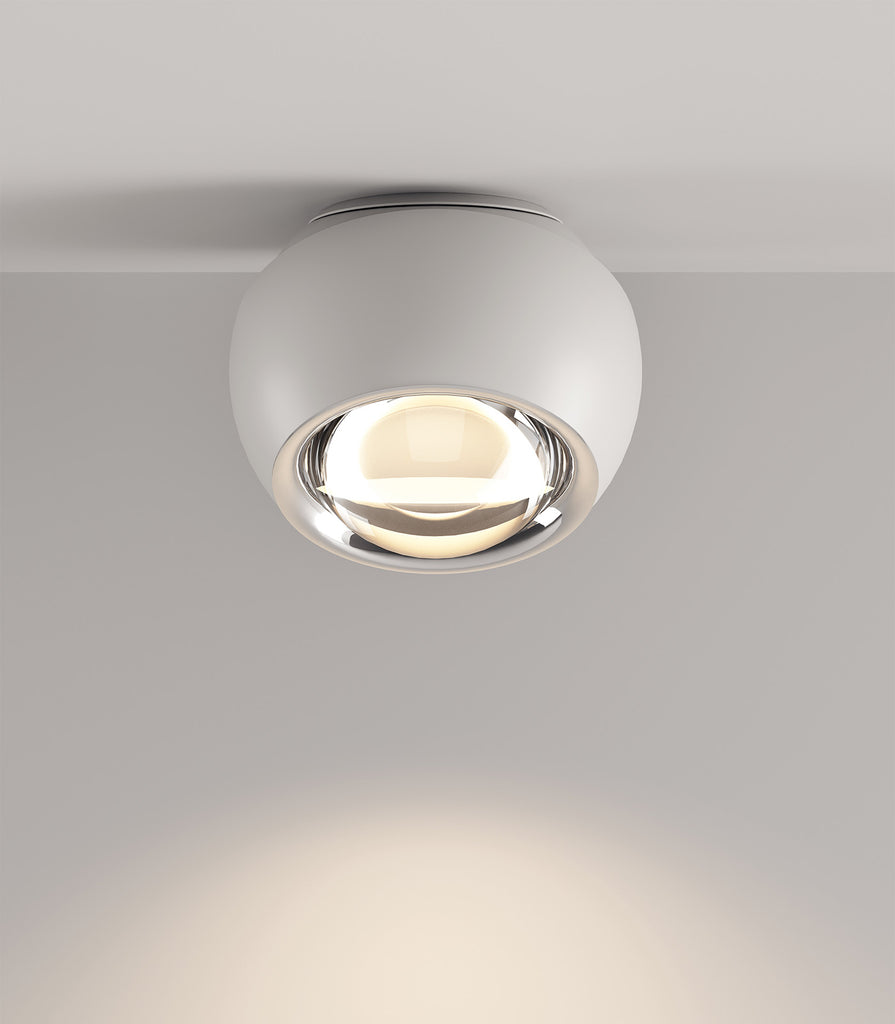 Lodes Spider Ceiling Light featured within a interior space