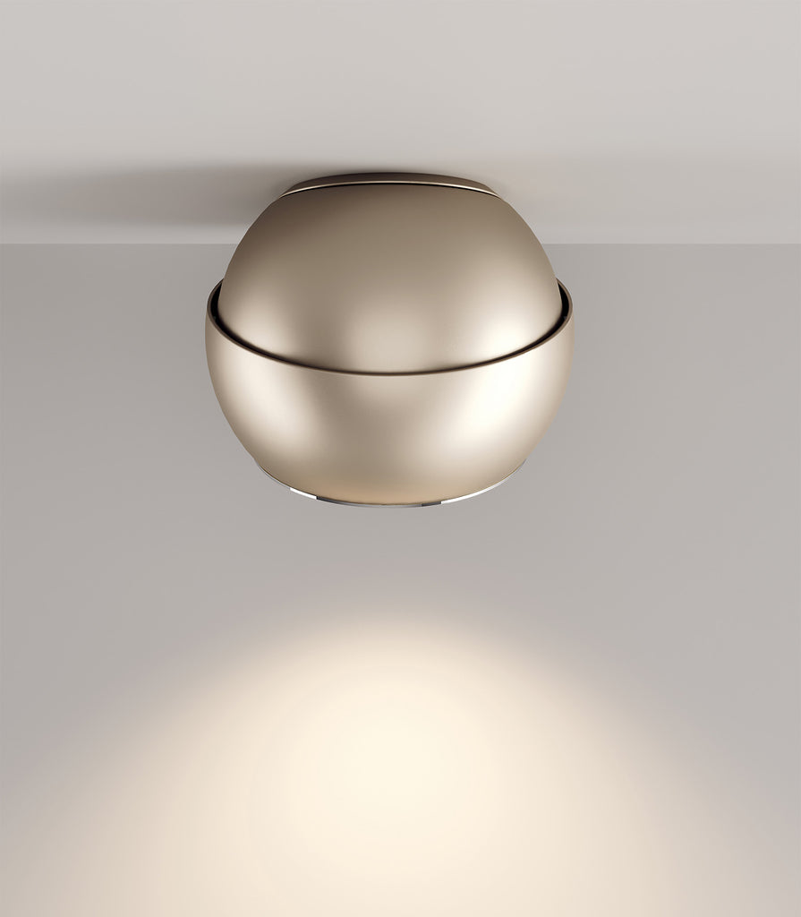 Lodes Spider Ceiling Light featured within a interior space