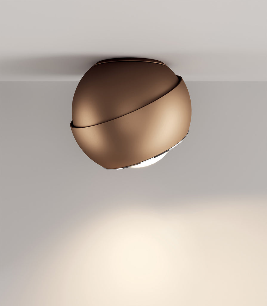 Lodes Spider Ceiling Light featured within a interior space