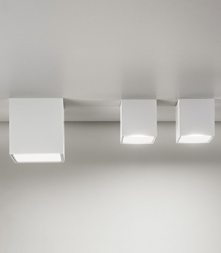 Panzeri Three Ceiling Light featured within a interior space