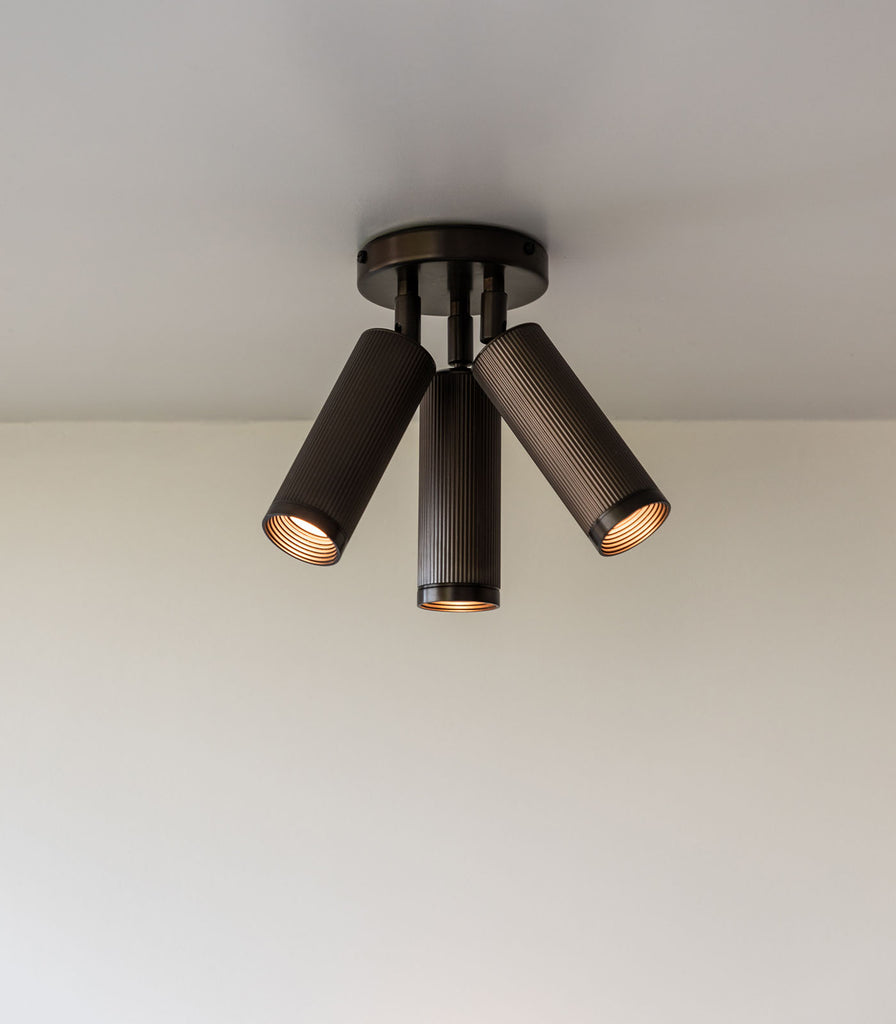 J. Adams & Co. Spot Triple Ceiling Light featured Within interior space