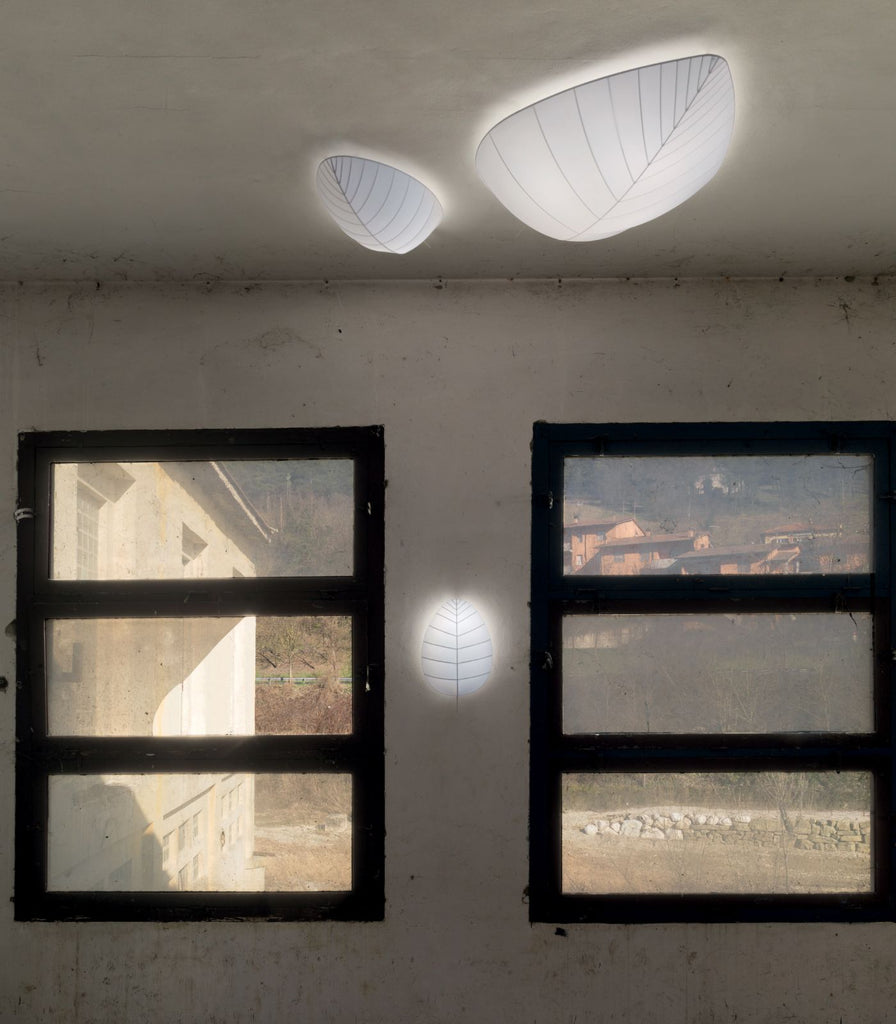 Karman Eden Ceiling/Wall Light featured within a interior space
