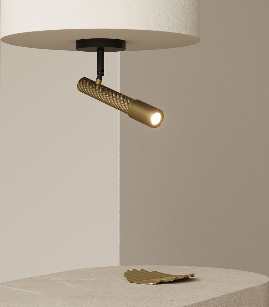 Aromas Ycro Ceiling Light featured within interior space