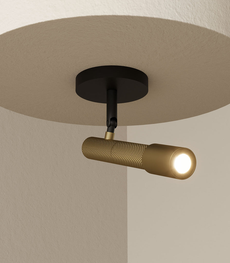 Aromas Ycro Ceiling Light featured within interior space