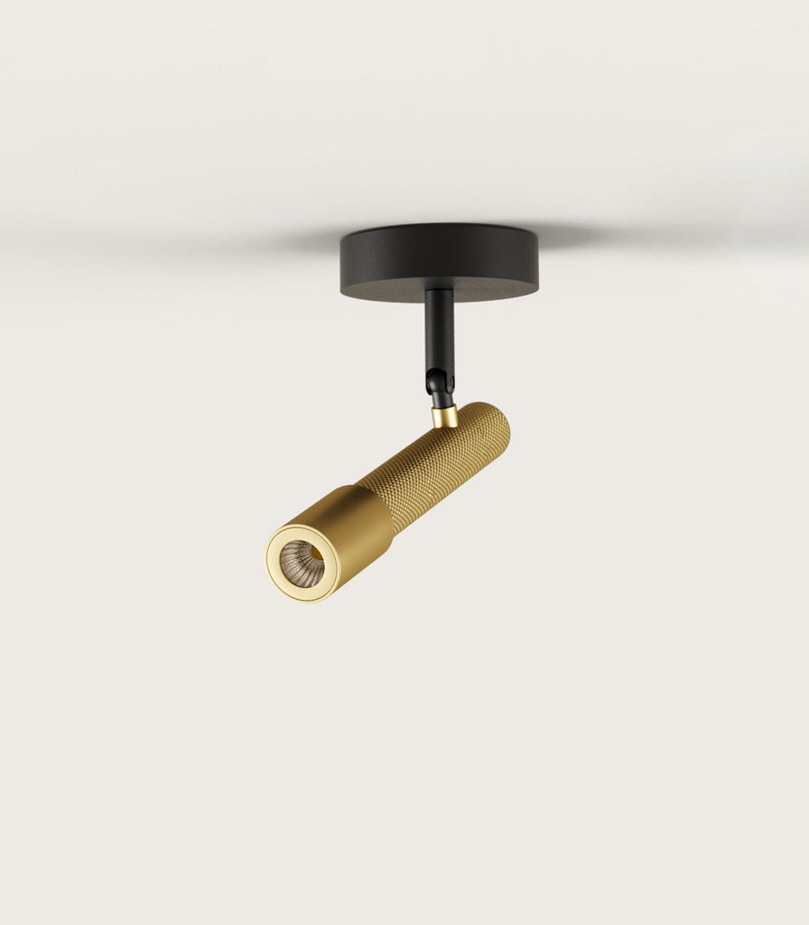 Aromas Ycro Ceiling Light in Matte Black/Matte Brass