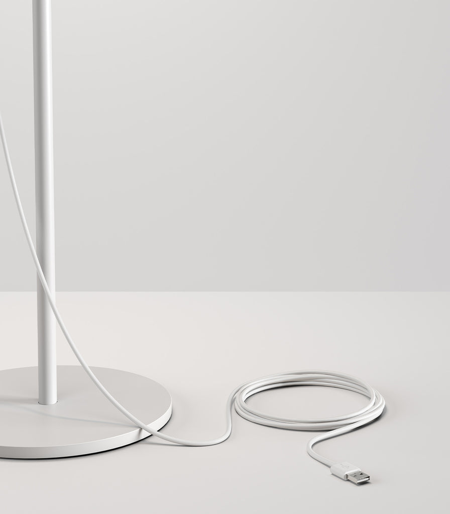 Lodes Hover Floor Lamp featured within interior space