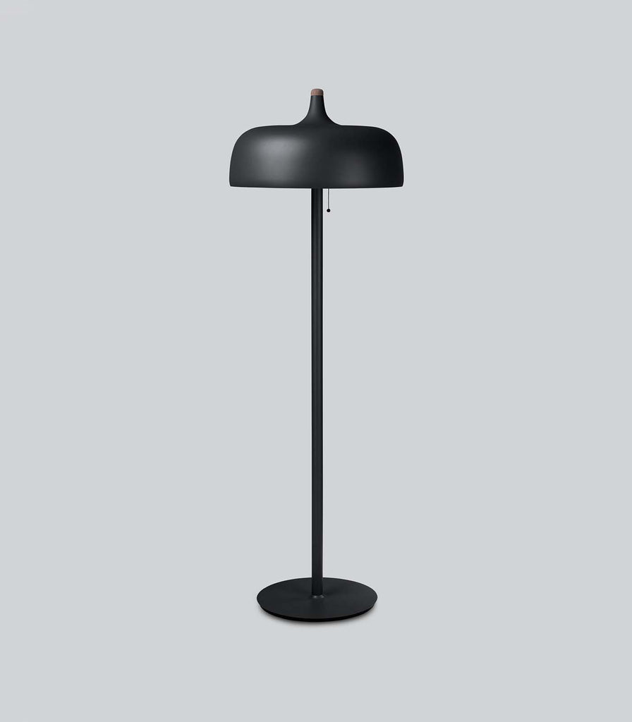 Northern Acorn Floor Lamp in Black