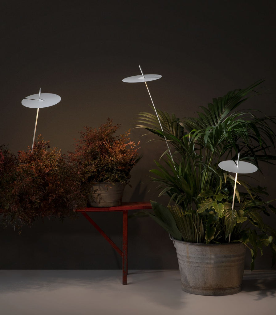 Karman Xana Spike Light featured within a outdoor space