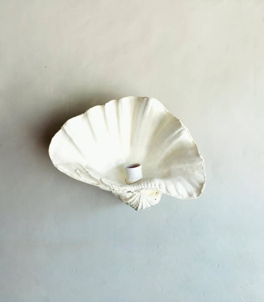 Gypset Cargo Fluted Shell Wall Light in Open/Pearl White