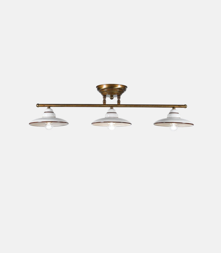 Iolanda Linear Ceiling Light in 3 Light