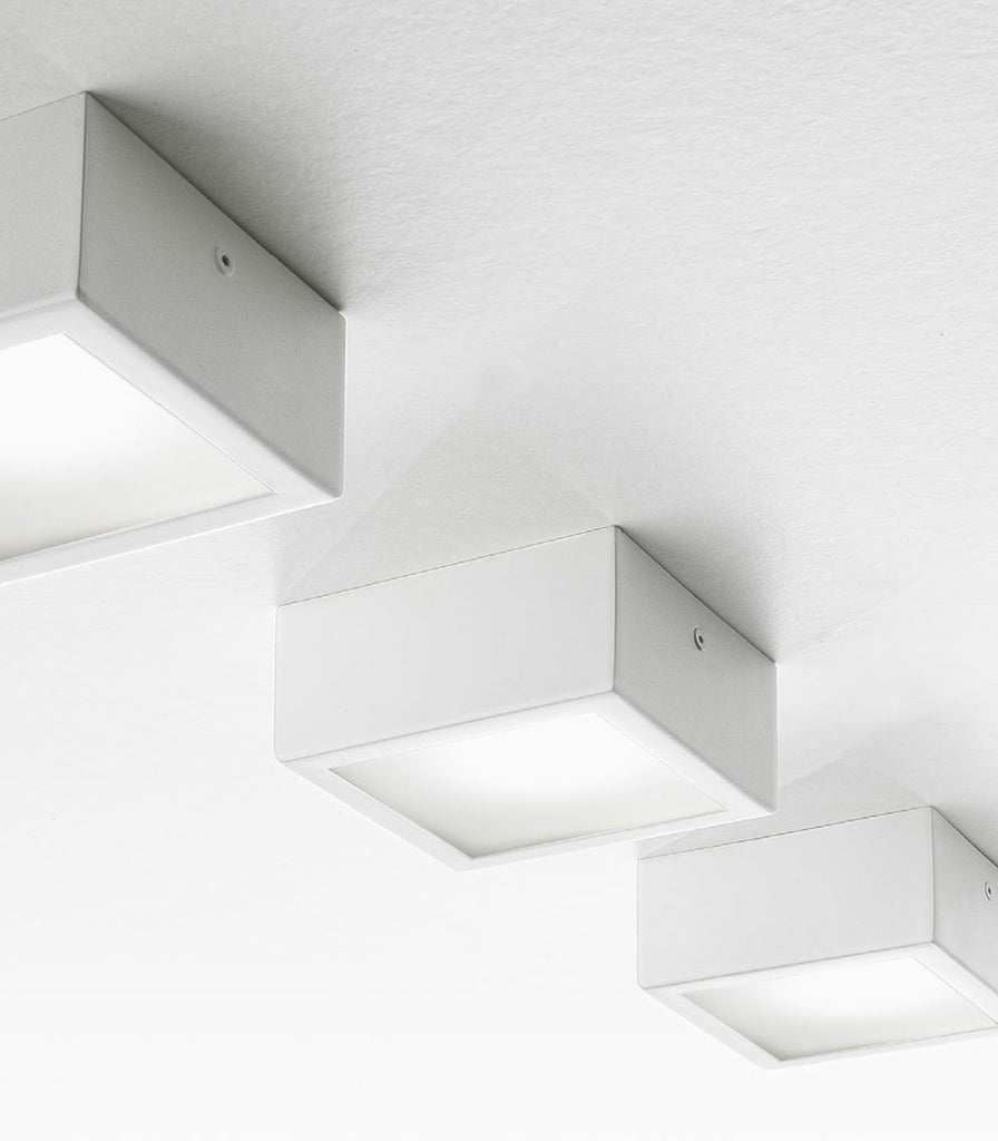 Panzeri Four Ceiling Light featured within a outdoor space