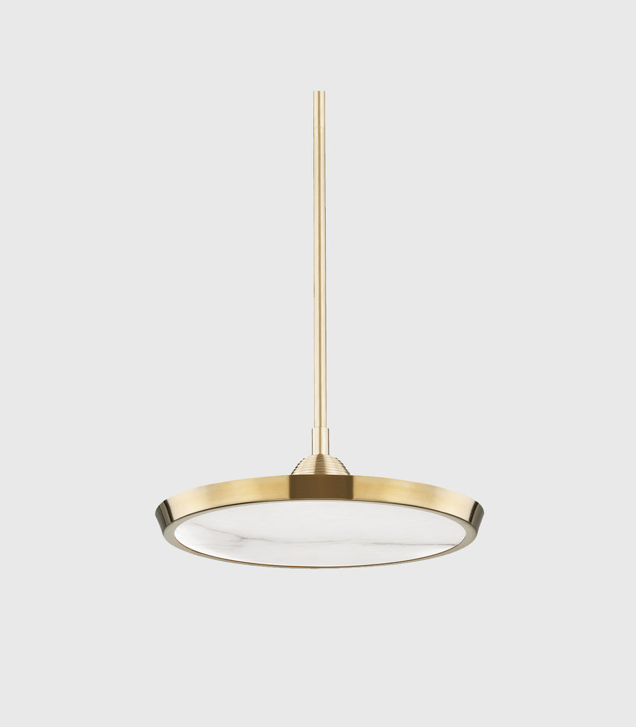 Hudson Valley Draper Pendant Light featured within a interior space