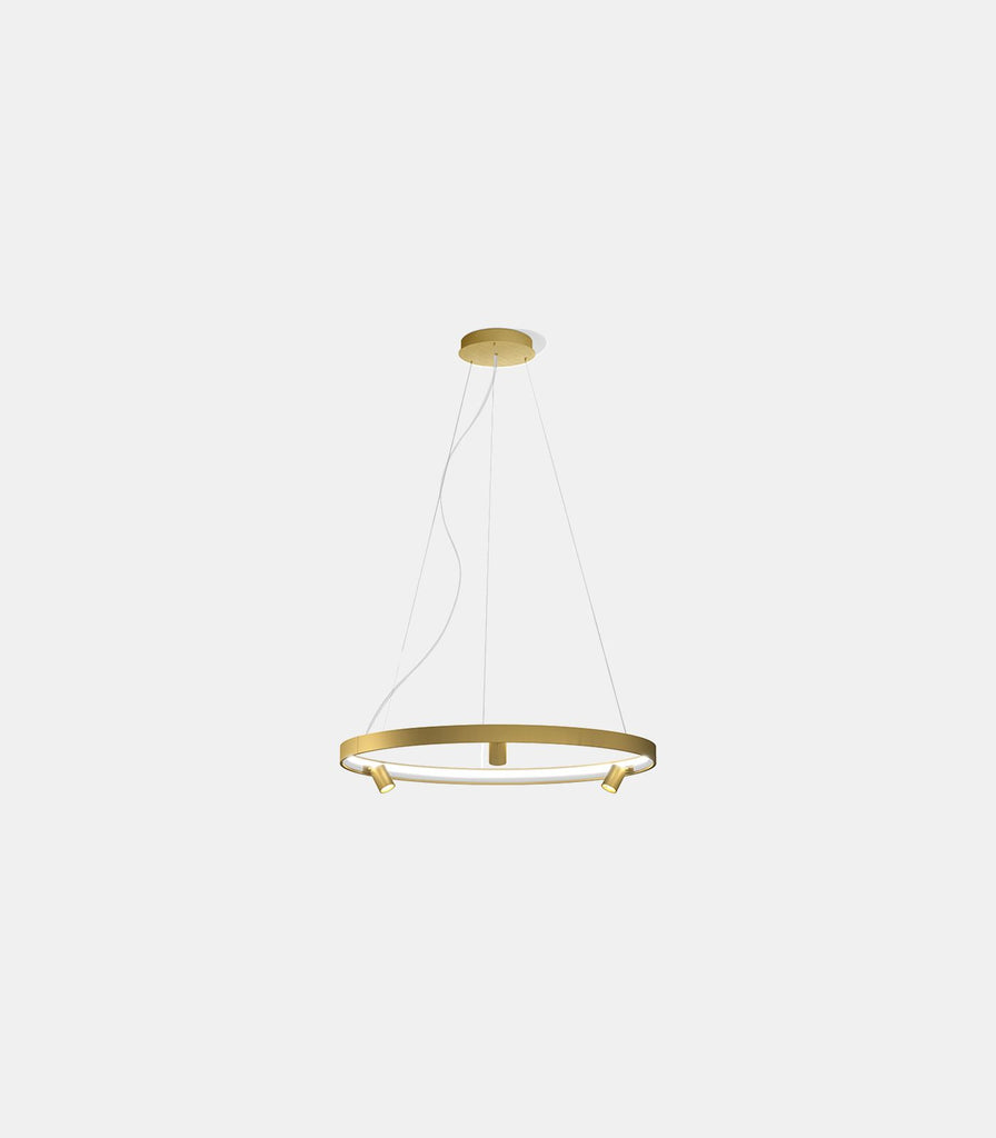 Panzeri Arena Pendant Light in Small / Matte Brass