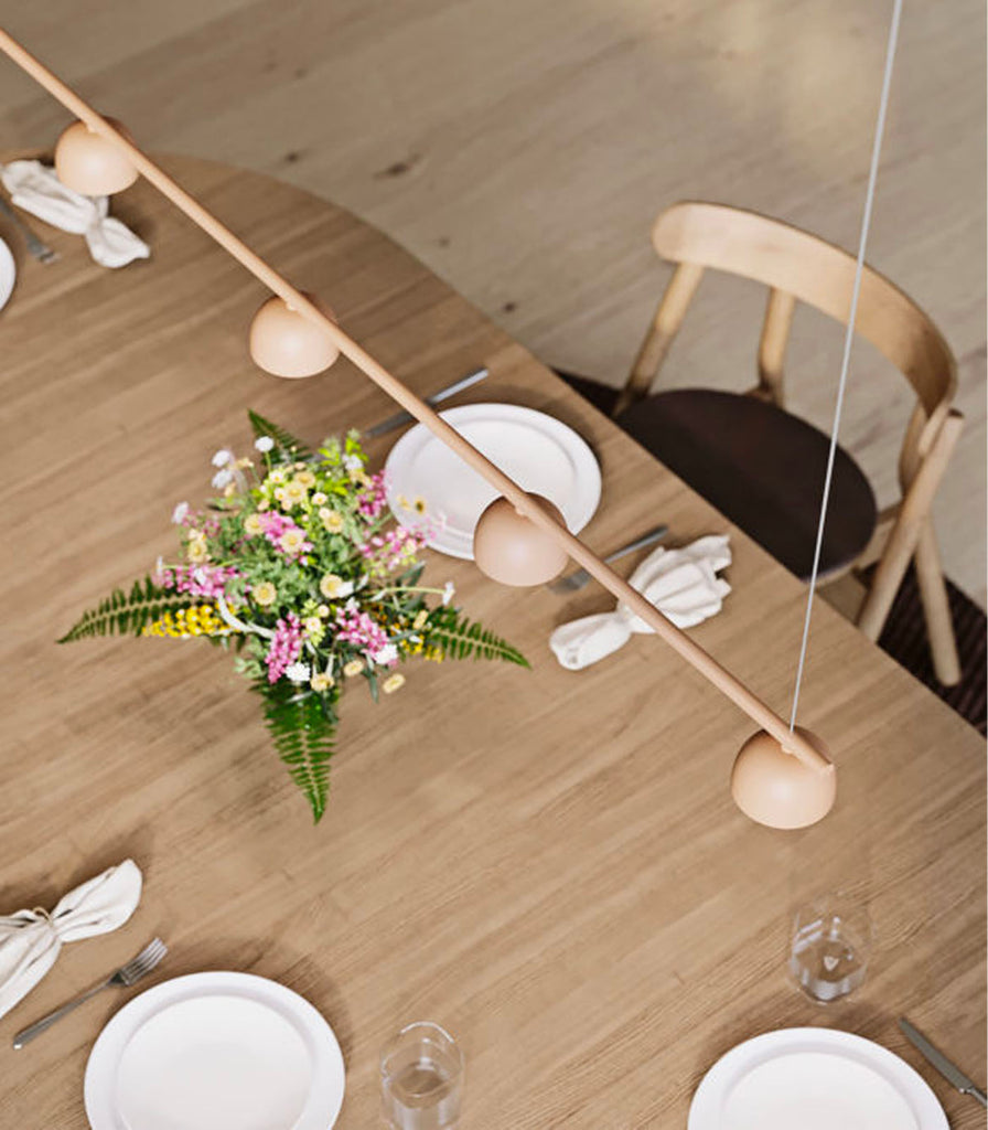 Northern Blush 5lt Rail Pendant Light hanging over a dining table