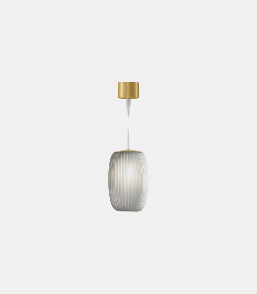 Panzeri Ely Pendant Light in Steel Glass