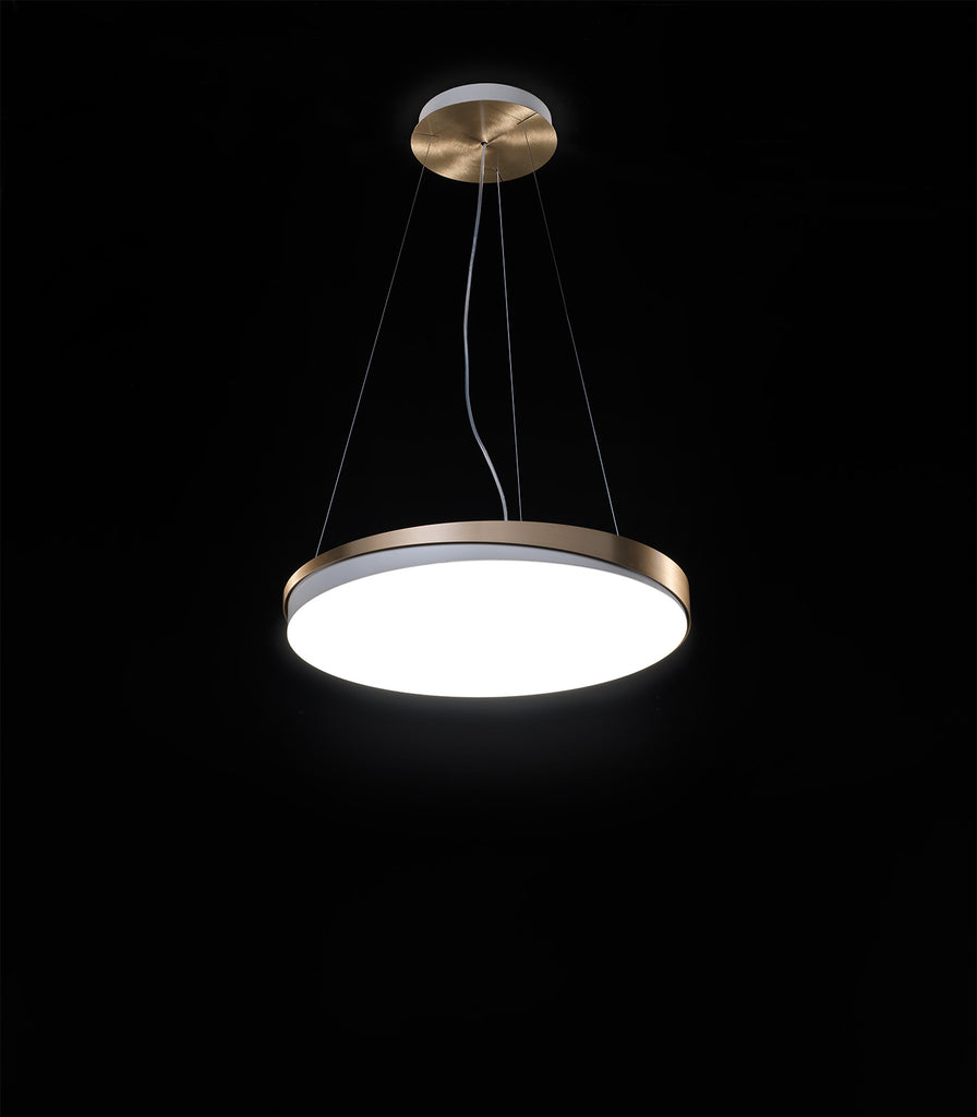 Loola Pendant Light by Zava on black background