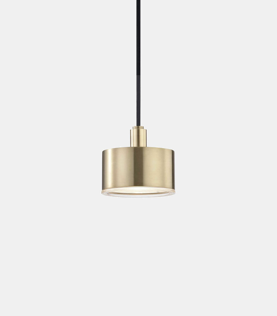 Hudson Valley Nora Pendant Light in Aged Brass