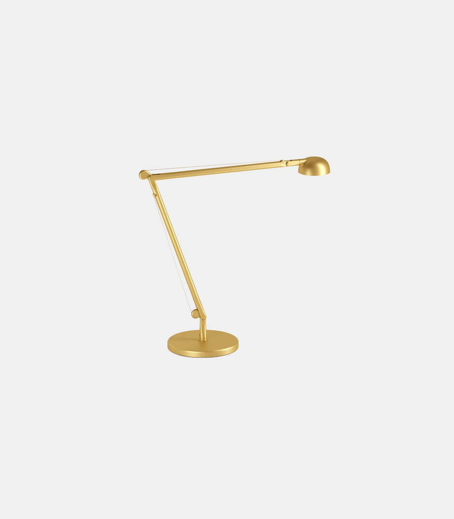 Panzeri Opuntia Table Lamp in Matte Brass