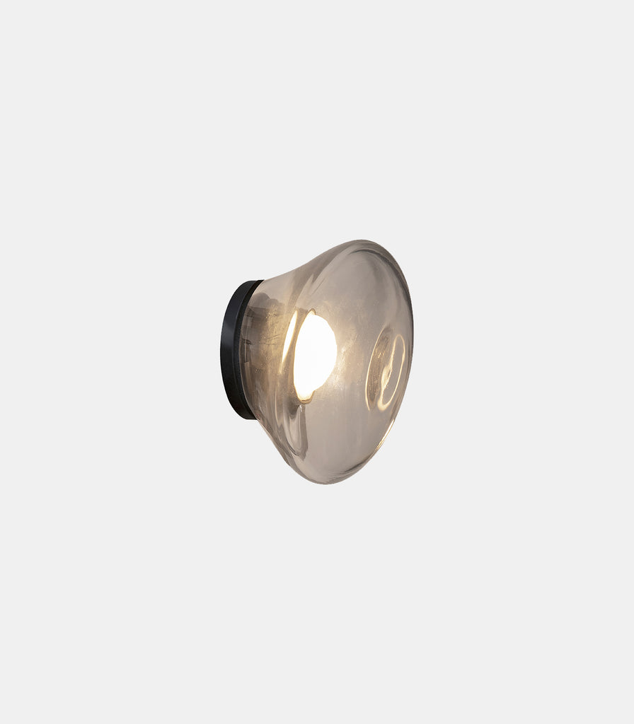 Karman Agua Wall Light in Transparent