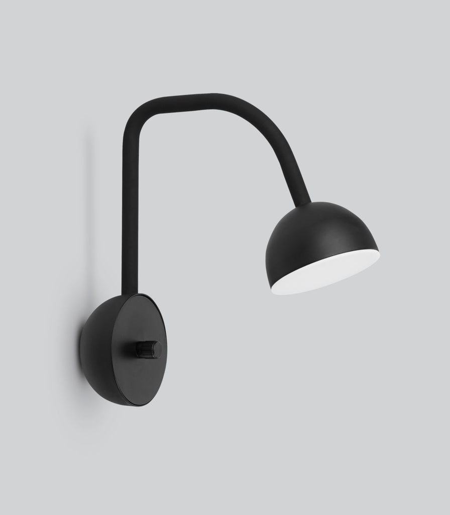 Northern Blush Wall Light in Black 