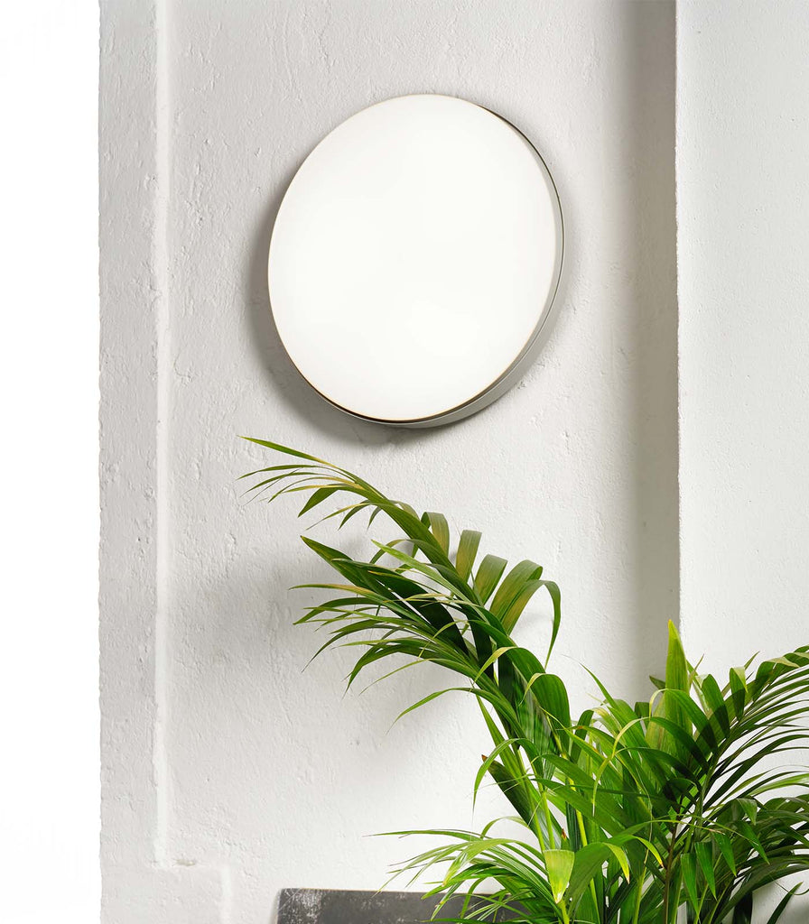 Loola Wall Light by Zava on white wall