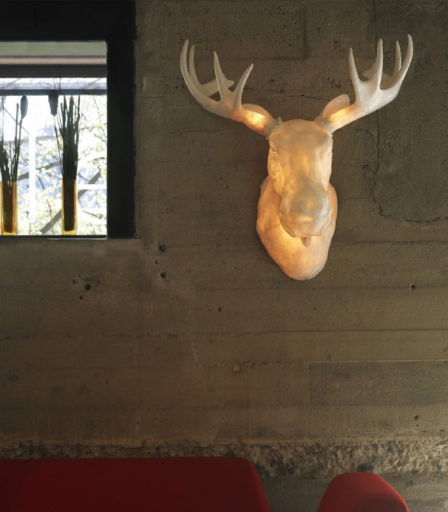 Northern Moo Wall Light featured within a interior space