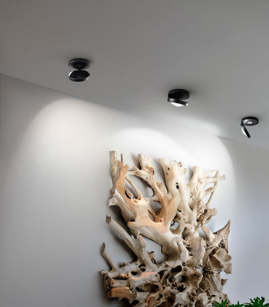 Lodes Nautilus Ceiling Light featured within a interior space