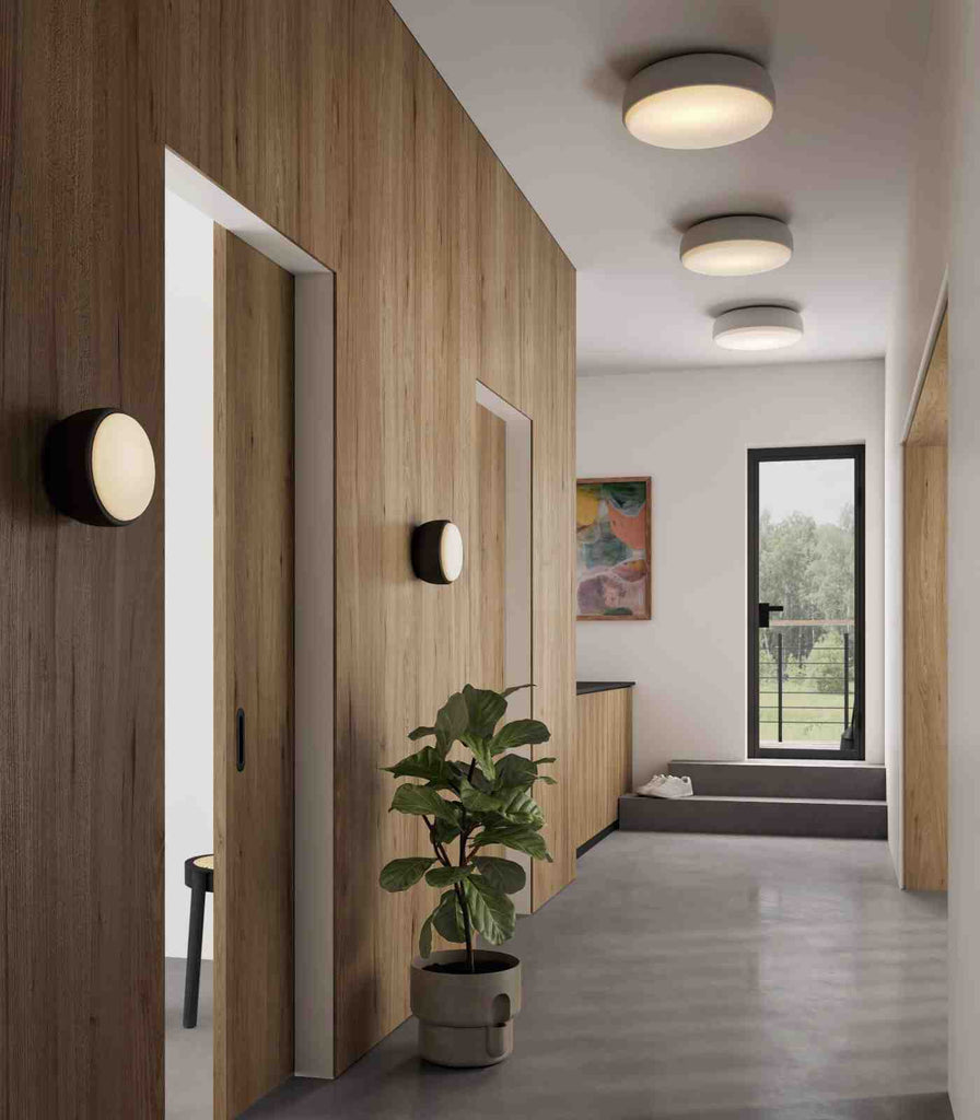 Northern Over Me Wall/Ceiling Light featured within a interior space