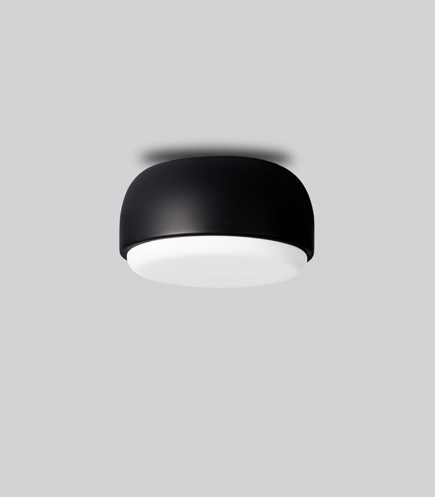 Northern Over Me Wall/Ceiling Light in Black/Small