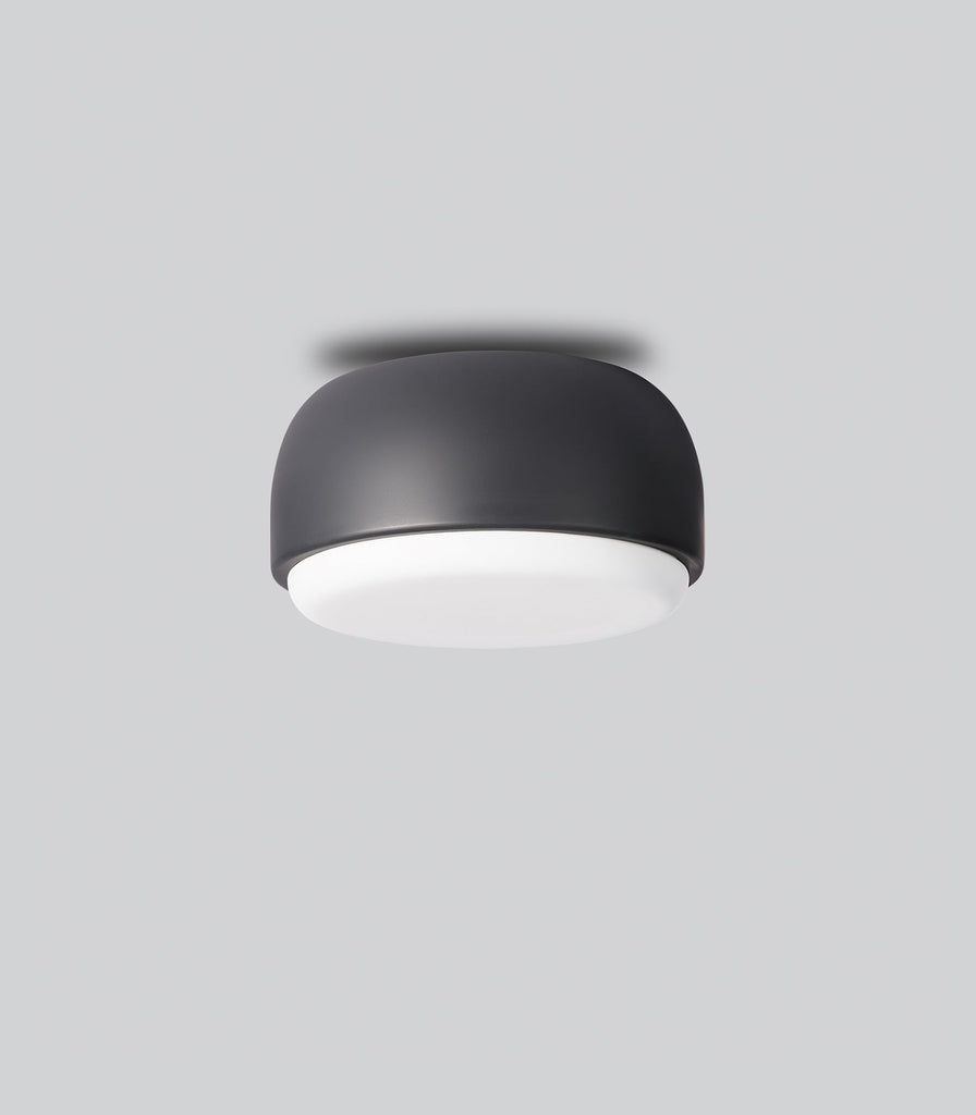 Northern Over Me Wall/Ceiling Light in Grey/Small