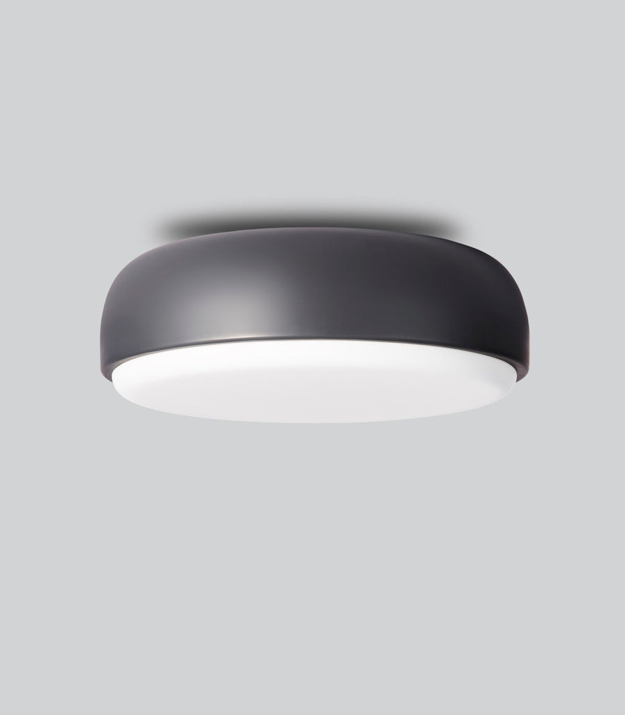 Northern Over Me Wall/Ceiling Light in Grey/Large
