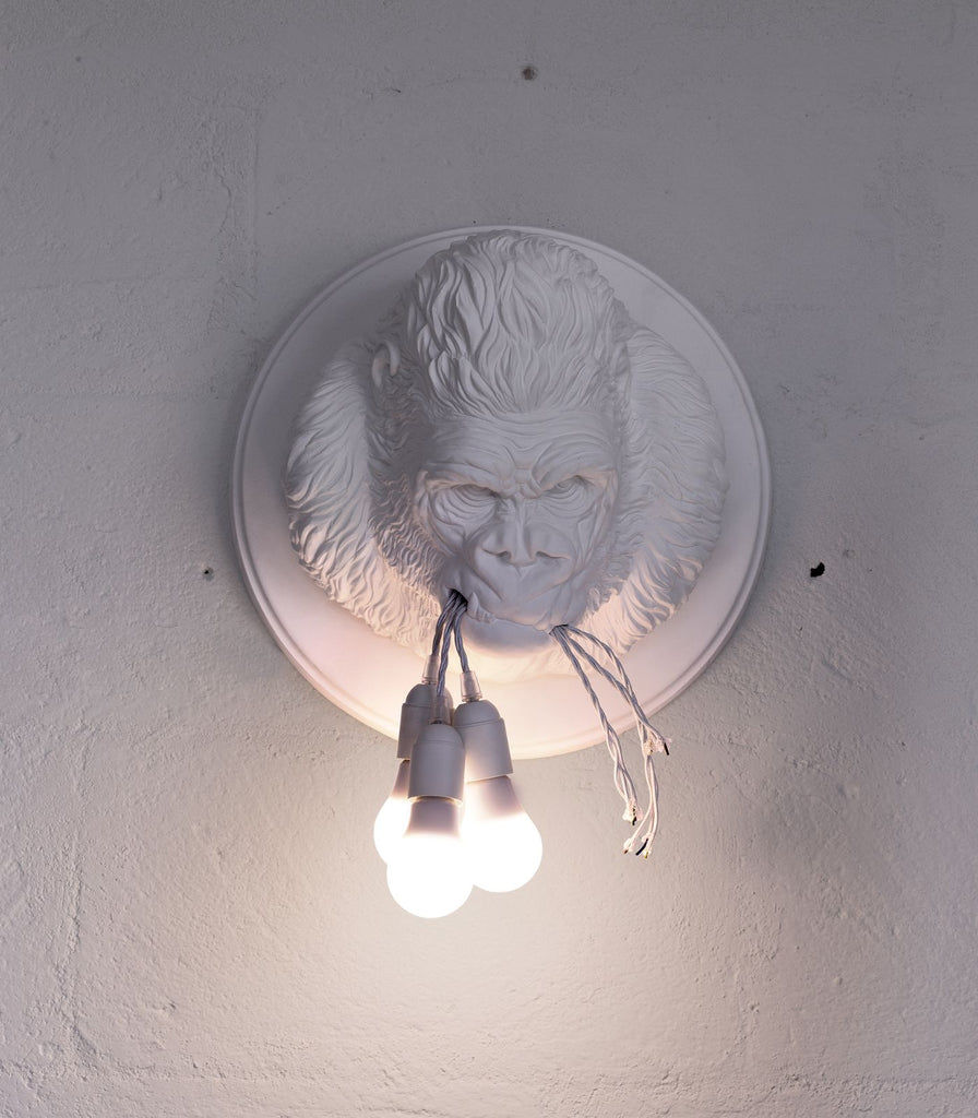 Karman Ugo Rilla Wall Light featured within a interior space