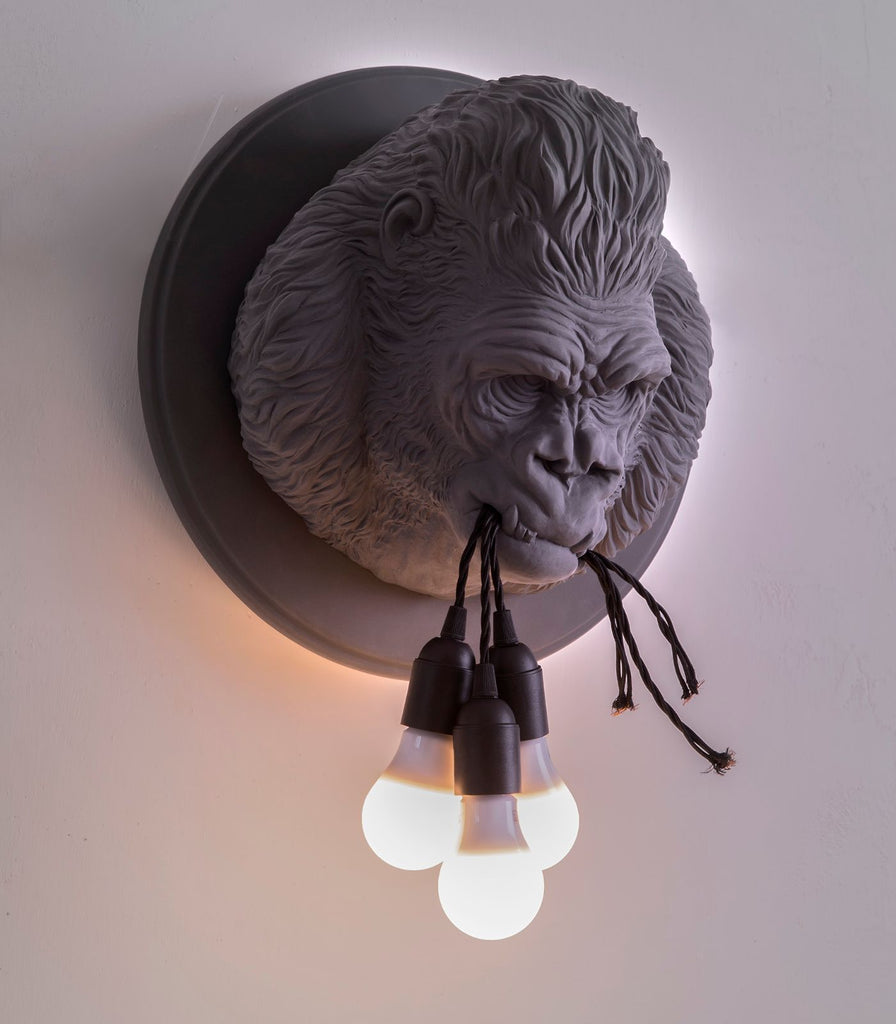 Karman Ugo Rilla Wall Light featured within a interior space