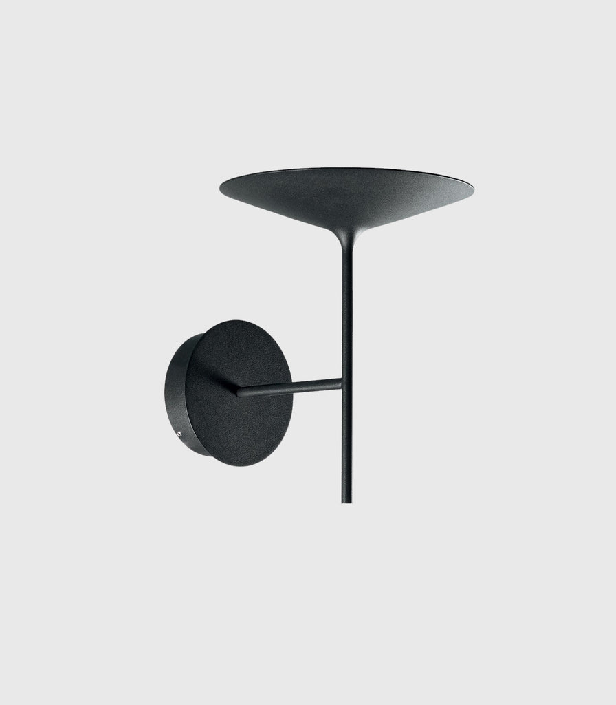 Linea Light Poe Wall Light in Black