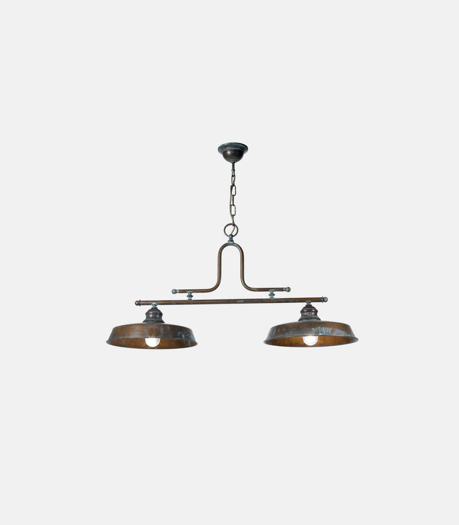 Zia Teresa Linear Pendant Light in 2 light